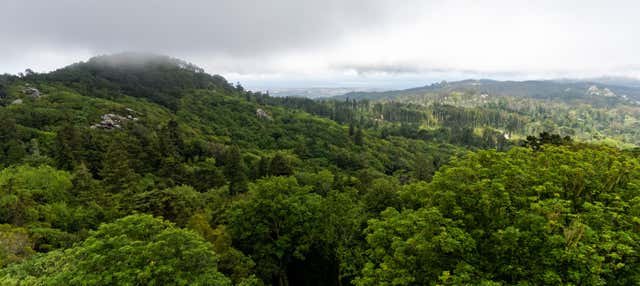 Randonnée au Parc Naturel Sintra-Cascais
