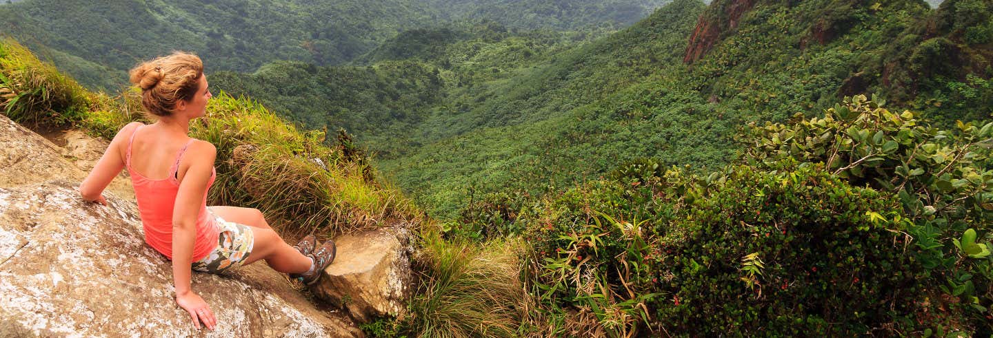 Bosque Nacional El Yunque + Bahías bioluminiscentes