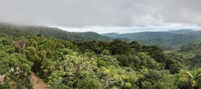 Escursione alla Foresta Nazionale Caraibica