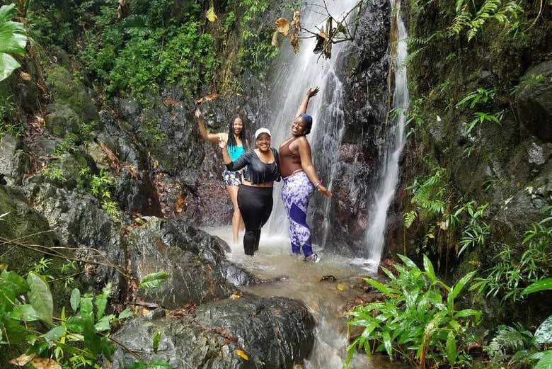 Excursión Al Bosque Nacional El Yunque Desde San Juan 5906