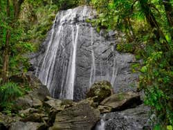 ,Excursión a Parque Nacional El Yunque