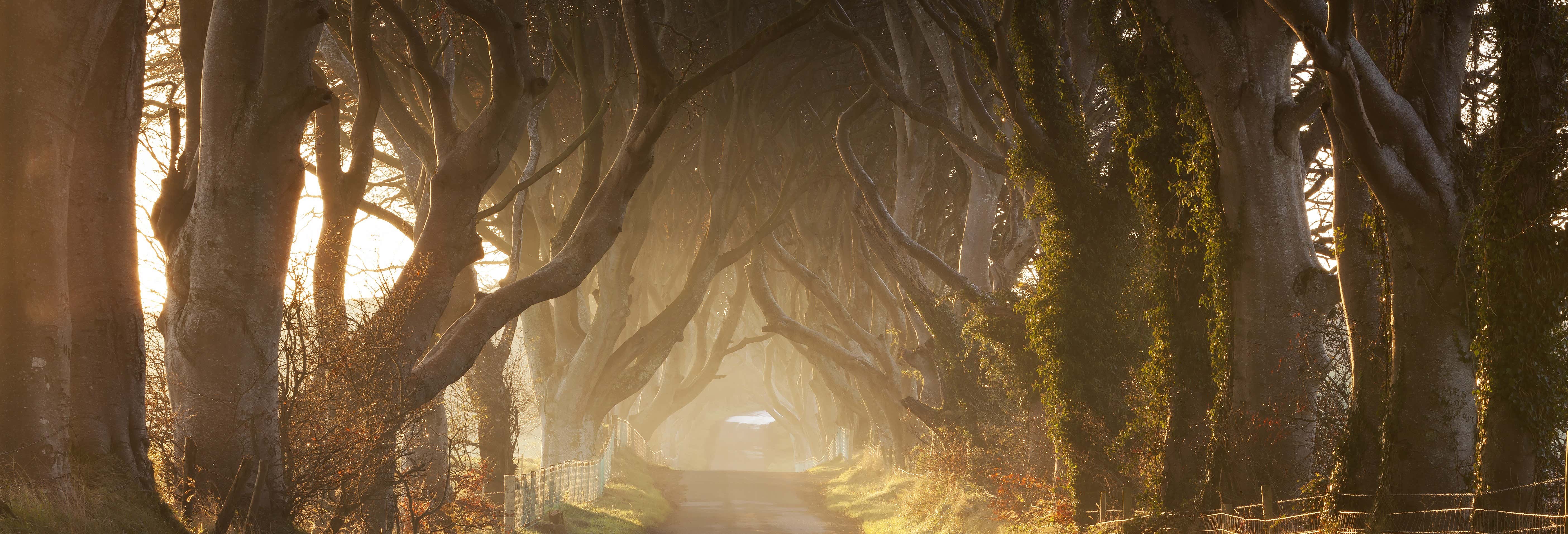 Tour de 2 días por Irlanda del Norte