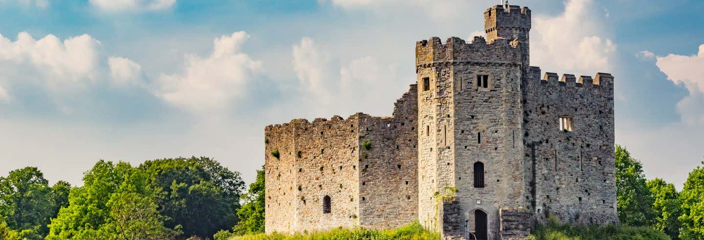 Entrada al castillo de Cardiff - Reserva online en ...