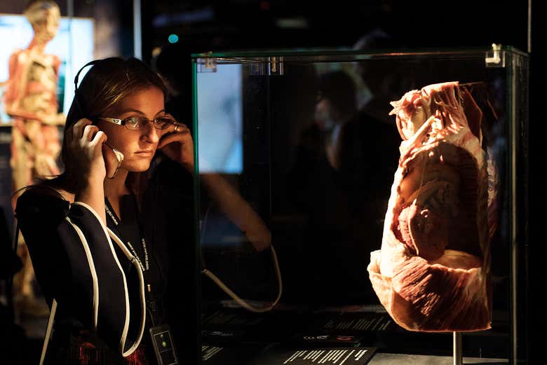 Desfrutando da exposição