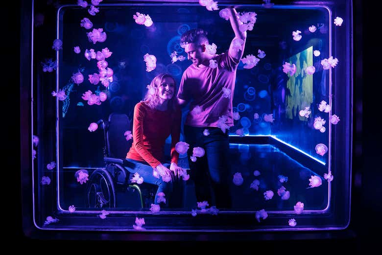 Vendo as medusas no aquário