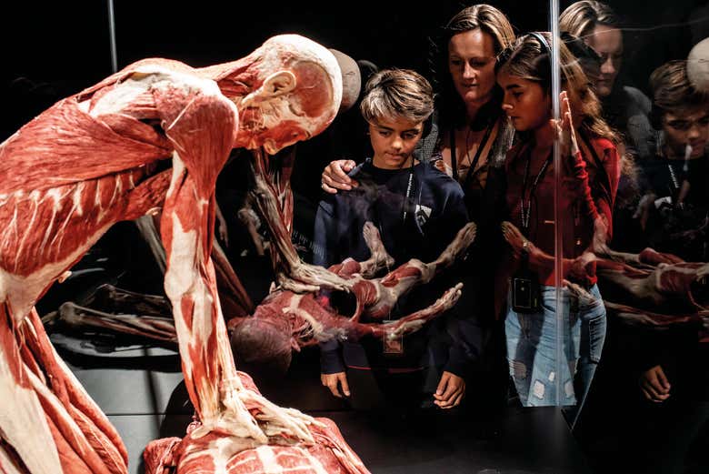 Body Worlds London