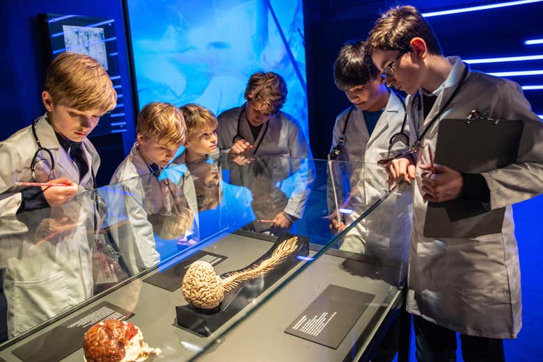 As crianças vendo a exposição