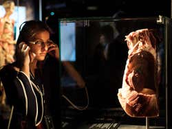 Desfrutando da exposição