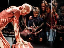 Body Worlds London