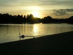 Hyde Park