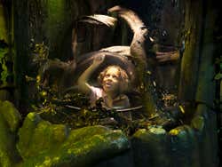 Criança vendo os insetos do aquário