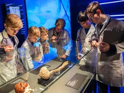 As crianças vendo a exposição