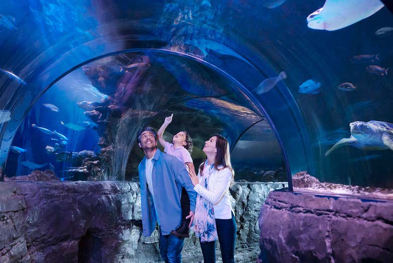 Passando por dentro de um aquário