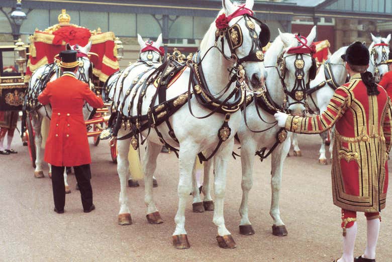 Cavalos das Royal Mews