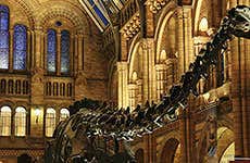 Museo di Storia Naturale