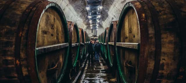 Excursión a Pilsen y Nižbor
