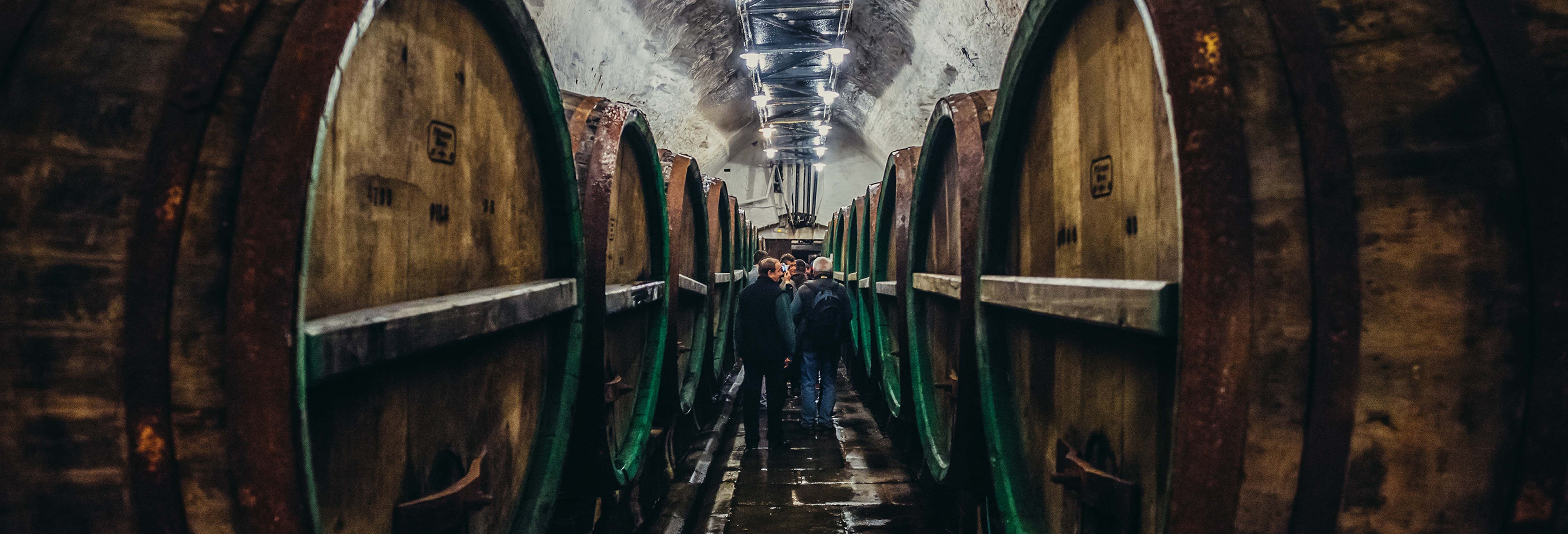 Excursión a Pilsen y Nižbor