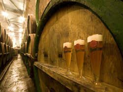 Pilsen Urquell, brasserie