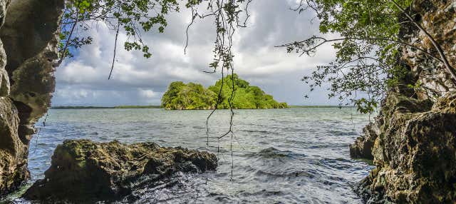 Excursión al Parque Nacional Los Haitises
