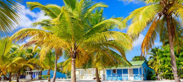 Excursão à Ilha Saona de catamarã
