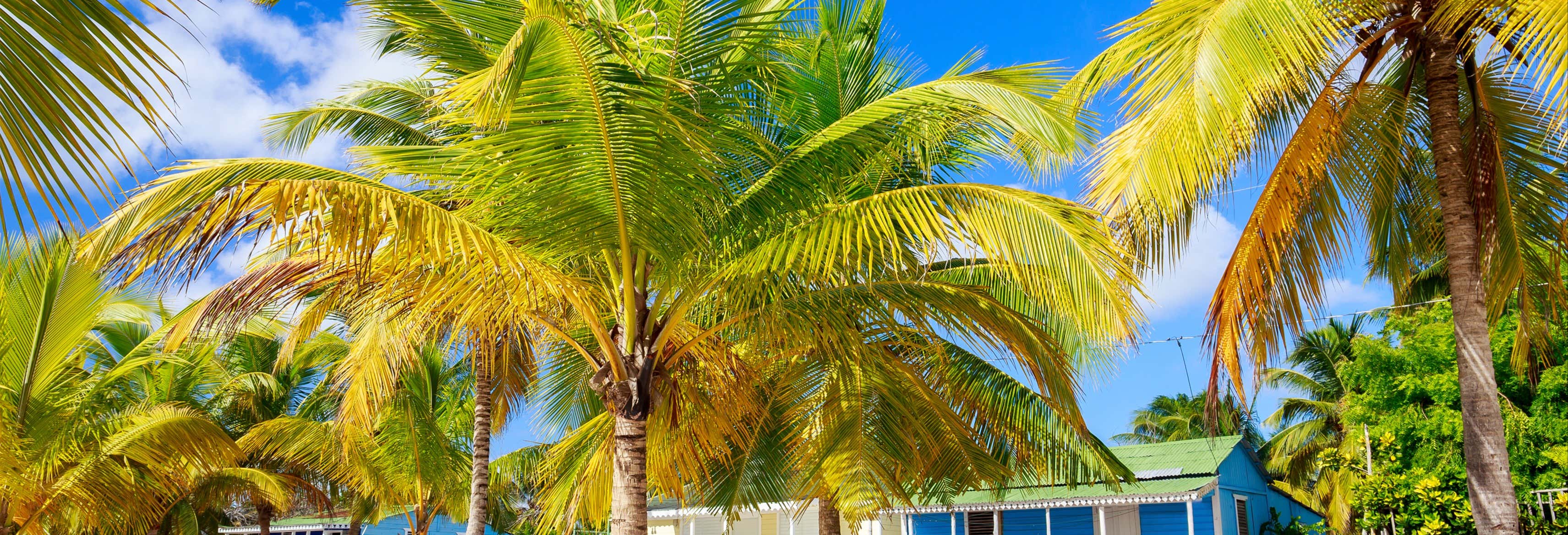 excursion isla saona civitatis