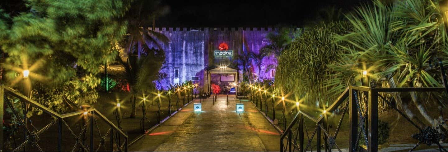 Entrada a Imagine