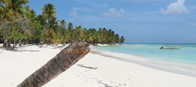 Excursión a la Isla Saona en catamarán