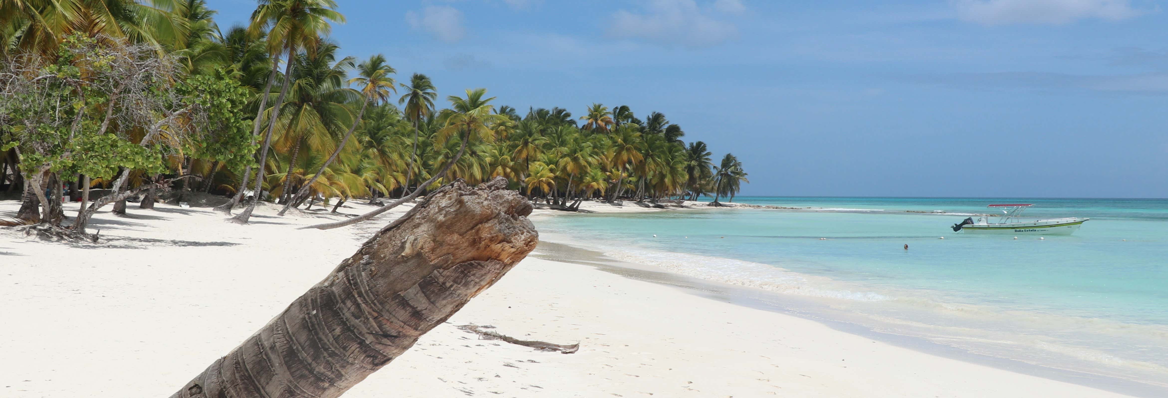 precio excursion isla saona desde punta cana