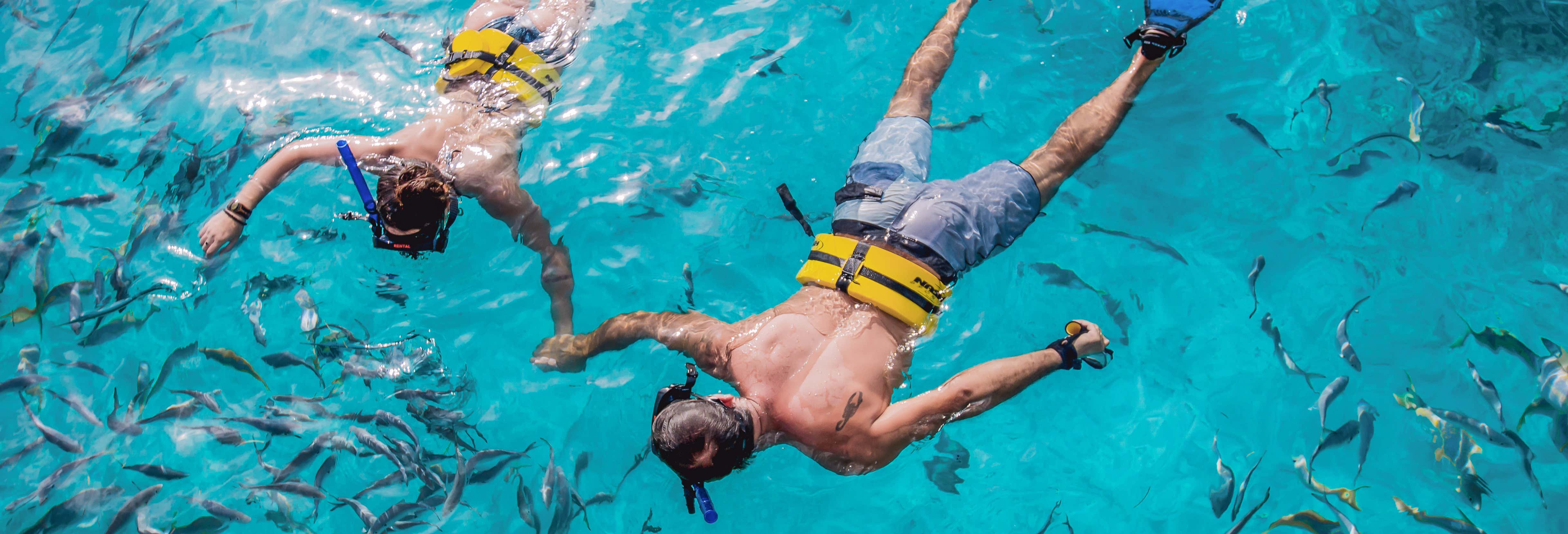 Paseo en barco y snorkel en el Reef Explorer