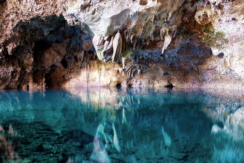,Excursión a Faro de Colón,Excursión a Parque Nacional Los Tres Ojos