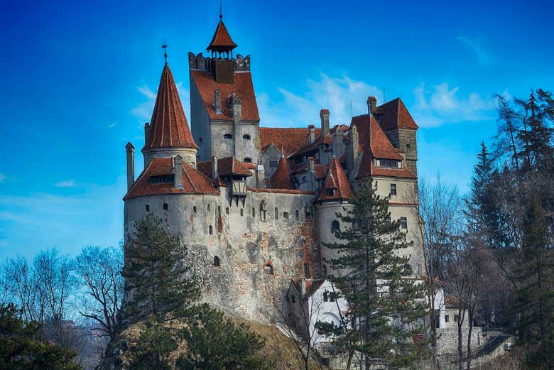 Dracula's Castle Guided Tour, Bran