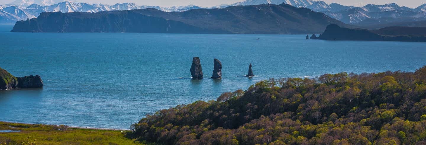 Crucero por la bahía de Avacha