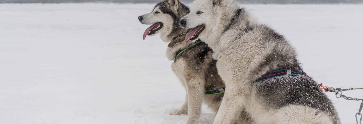 Excursión a una aldea indígena de Kamchatka