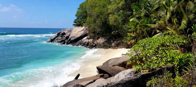 Excursión a la isla de Moyenne