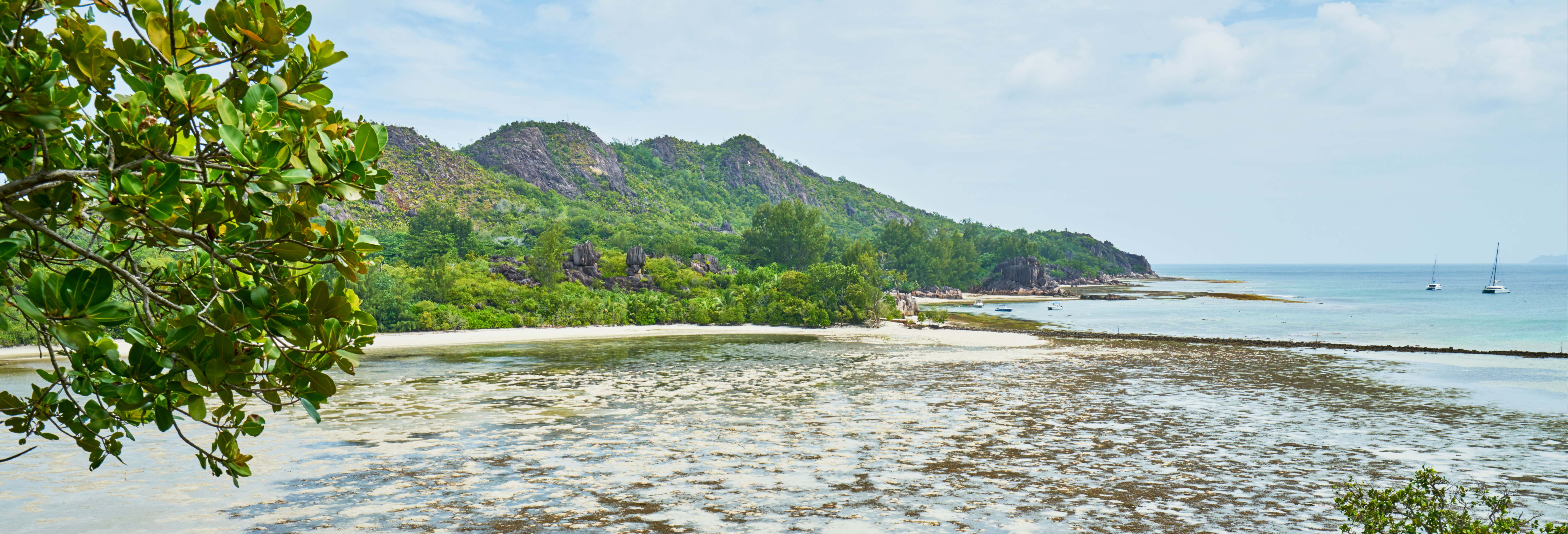 Excursion sur l'île Curieuse