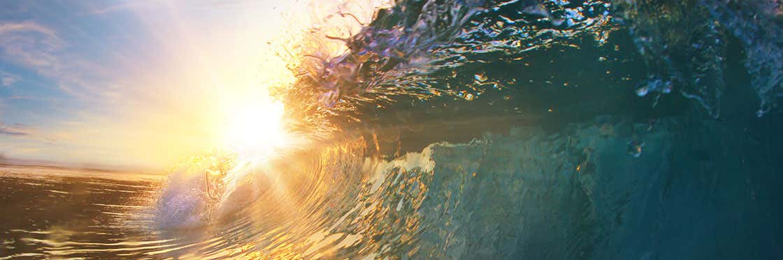 Surf y windsurf