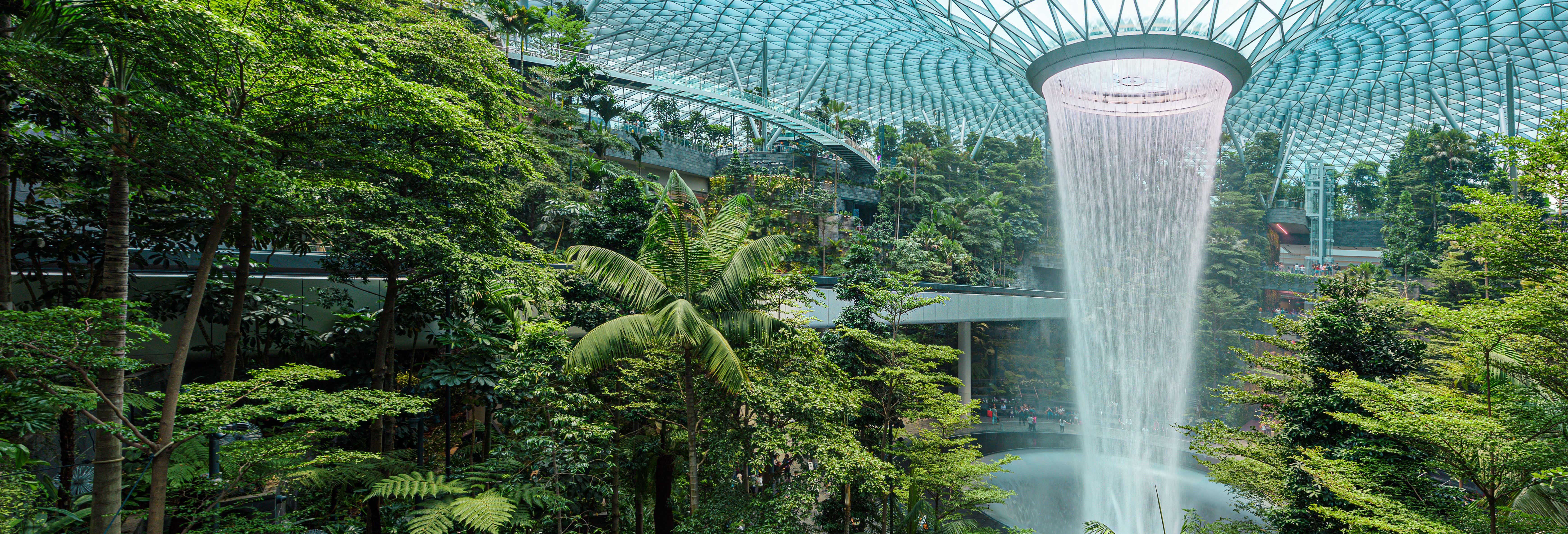 Entrada al Canopy Park