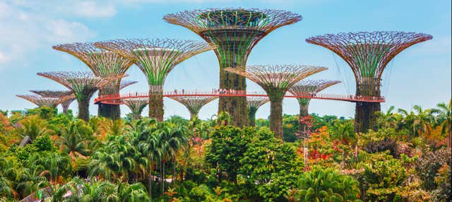 Ticket to the Gardens by the Bay