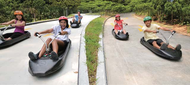Skyride Luge Sentosa Tickets