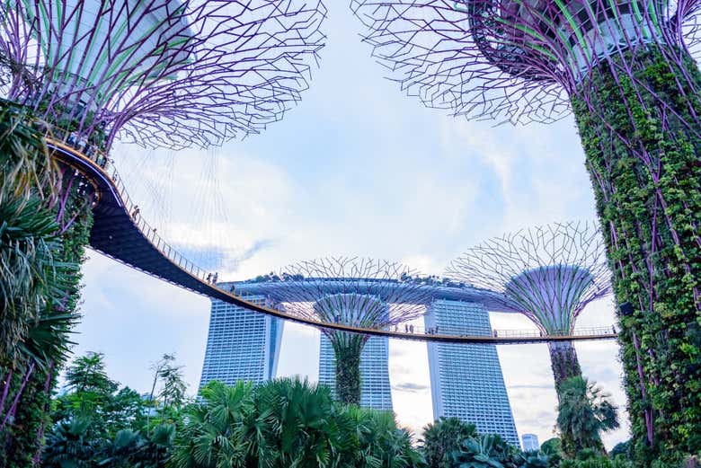 grandi luoghi di incontri Singapore profili di siti di incontri
