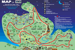 Mappa dello zoo notturno di Singapore