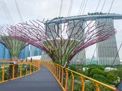 Pasarela de los Jardines de la Bahía