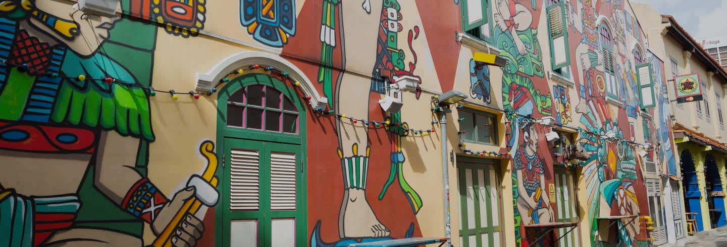 Tour privado pelos bairros de Singapura