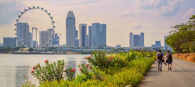 Tour privado por Singapur con guía en español