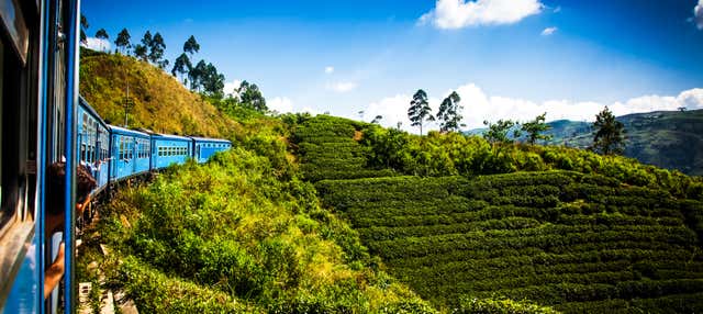 Escursione a Kandy