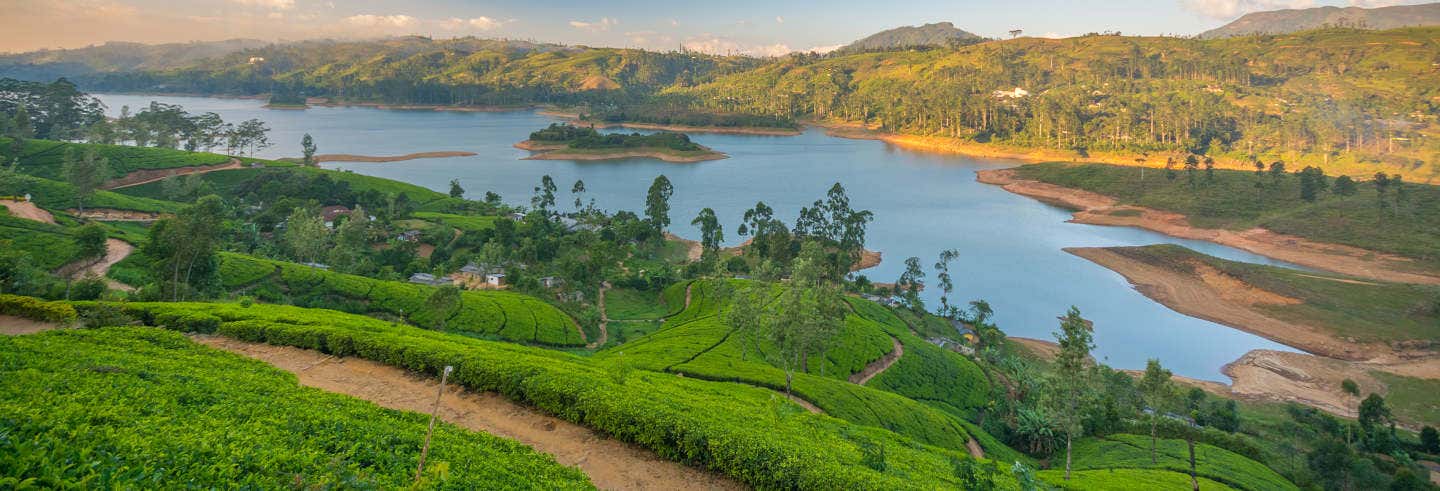 Excursion de 2 jours à Nuwara Eliya