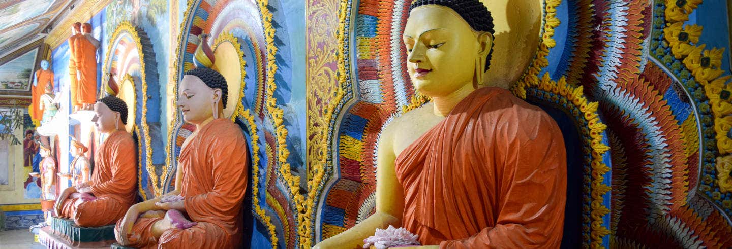 Visite privée de Negombo
