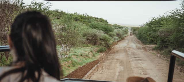 Safari por el Parque Pilanesberg + Sun City