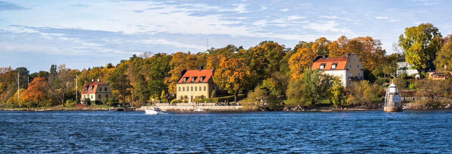 Tour por la isla de Djurgården