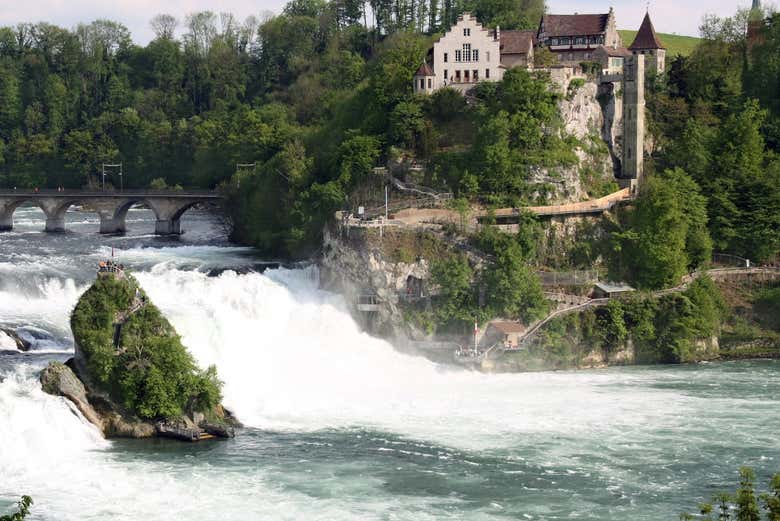 Bildergebnis für Rhine waterfall free pics